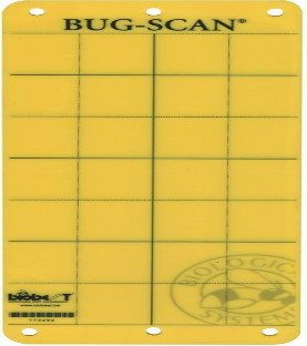 Colle mouche JAUNE Bug-Scan® - BIOBEST (paquet de 10)