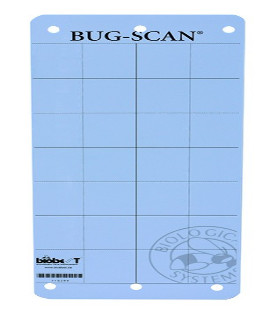 Colle mouche BLEU Bug-Scan® - BIOBEST (paquet de 10)